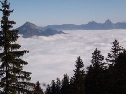 fascinating mountains fog