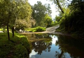 scenic calm river in forest, mexico, veracruz, xalapa