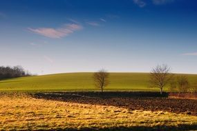 Green field in Austria