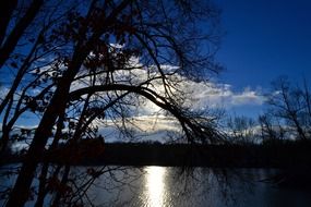 Silhouettes of trees on the lake with colorful light in the morning