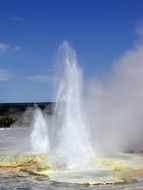 geysir in hte yellowstone national park wyoming