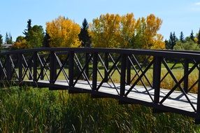 footbridge autumn landscape