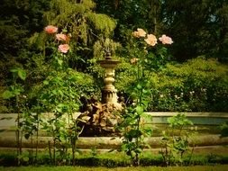 Colorful roses near the beautiful fountain among the plants