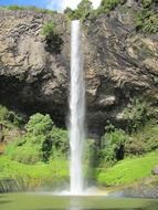 beautiful view of the waterfall in New Zealand