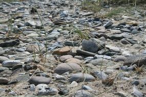 Photo of Pebbles on a beach