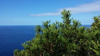 view to the sea in Mallorca