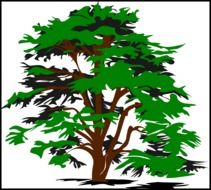 Picture of green tree
