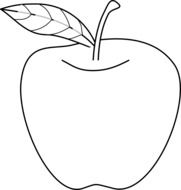 outline drawing of an apple