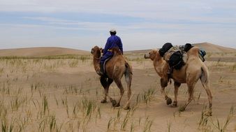Nomads in the desert in Mangolia