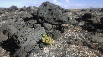 volcanic rocks in fuerteventura