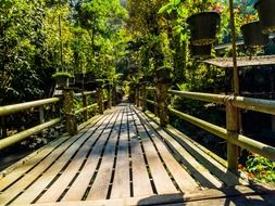 wooden bridge in the green forest