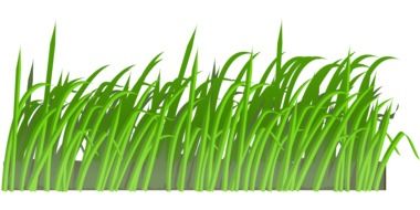green spring meadow as a graphic illustration