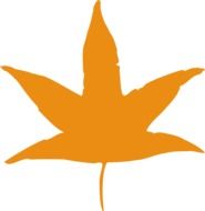 Silhouette of orange leaf of marijuana on a white background