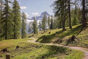 impressive trail away