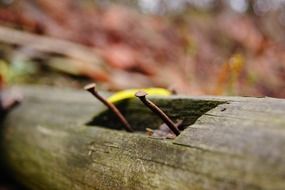 rusty nails in an old log