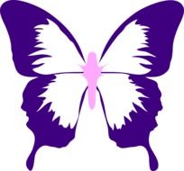 butterfly wings purple pink drawing