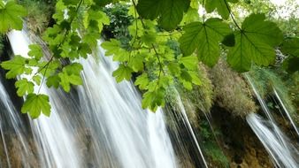 waterfall of the Plitvice lakes in close-up