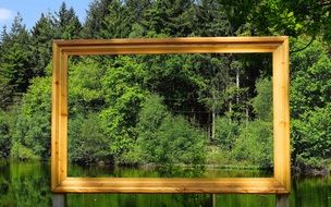 molding frame on the forest shore