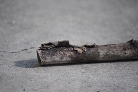 wooden stick with bark