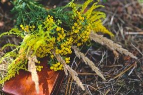 bouquet of yellow wild flowers