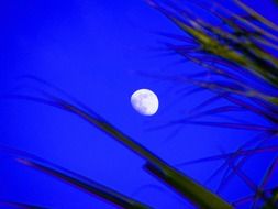 moon on a bright blue sky