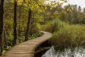 Landscape With Plitvice Lakes In Croatia