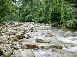 cobblestones in a mountain river