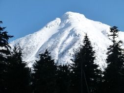 Mountain covered with the snow near the forest