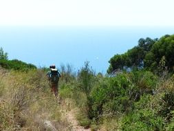 Person on beautiful Ligurian Alta Via Dei Monti mountain trail with colorful plants in Italy