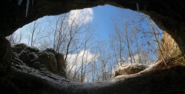 view from the cave to the trees