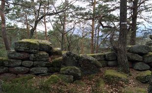 stone wall in a forest in Alsace