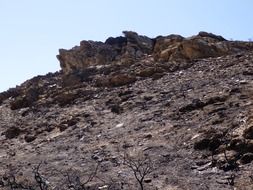 landscape of burned land in nature