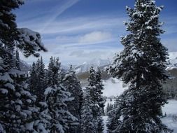 winter in the crested butte in colorado