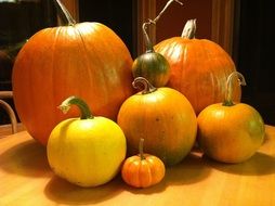 pumpkins of different sizes for halloween