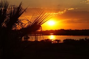 botswana landscape sunset