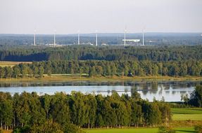 Trees in Falkoping in Sweden