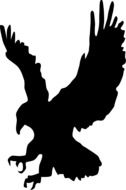 black hawk silhouette on white background