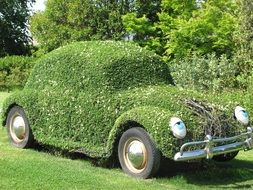 Bush in the form of a car