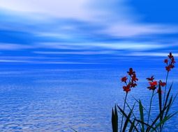 red flowers near the ocean