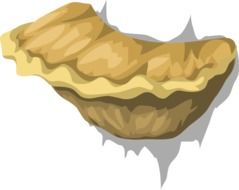 Clipart of a brown fungus at white background