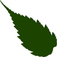 Drawing of a green leaf