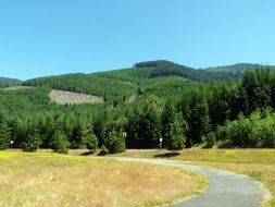 distant view of the green mountains, central washington