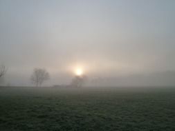 foggy morning over a rural field