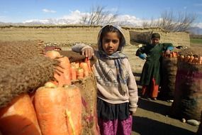 afghanistan children and carrots crop