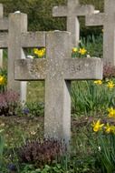 Crosses on the cemetery