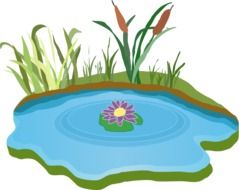 pond water outdoor drawing