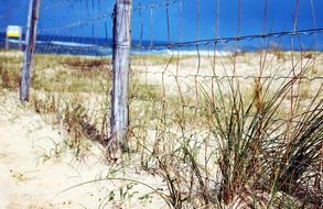 fence of sand dunes on an ocean beach