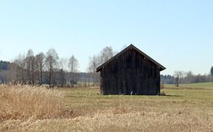 Wooden barn in a field in the meadow on a sunny day