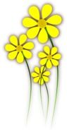 yellow flowers drawing