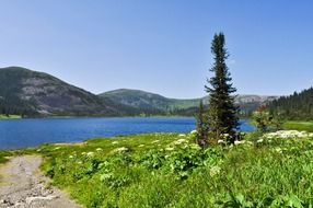 mountains lake and vegetation